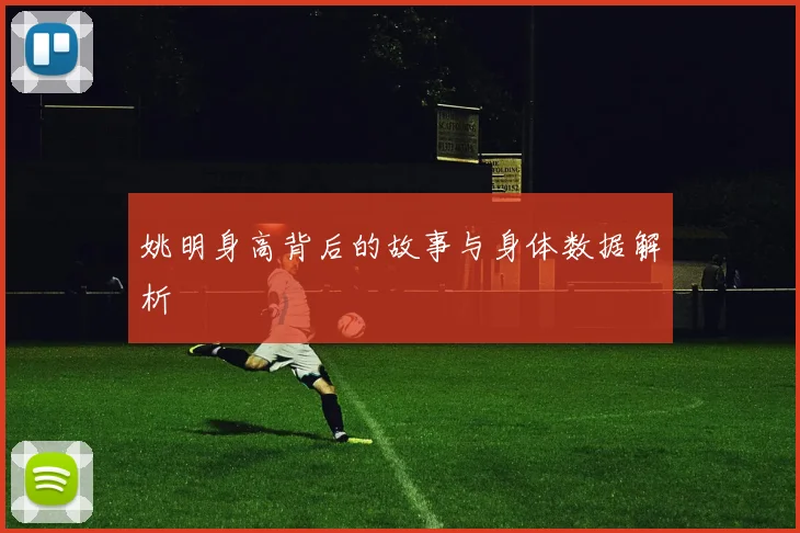 姚明身高背后的故事与身体数据解析