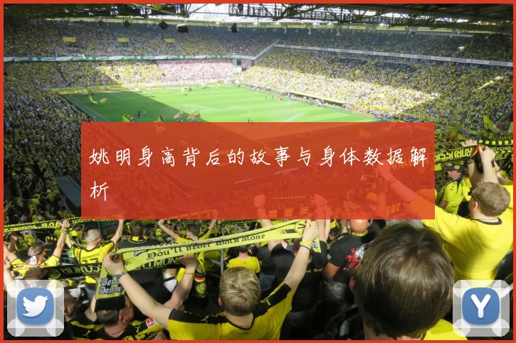 姚明身高背后的故事与身体数据解析